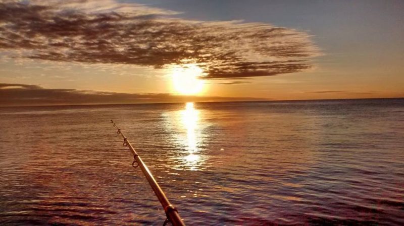 3 de agosto Día del pescador deportivo El Navarrero